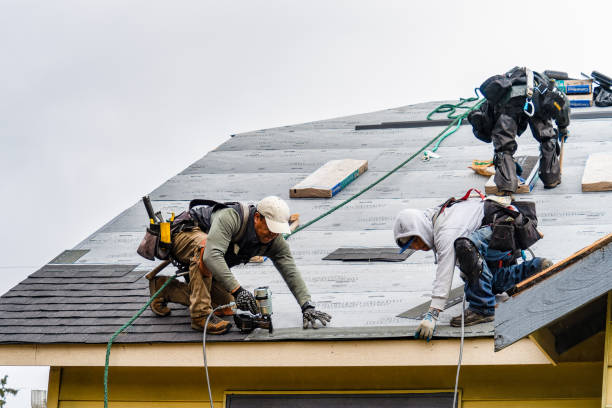 Professional Roofing technician working in Almont, MI
